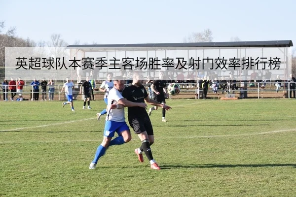 英超球队本赛季主客场胜率及射门效率排行榜